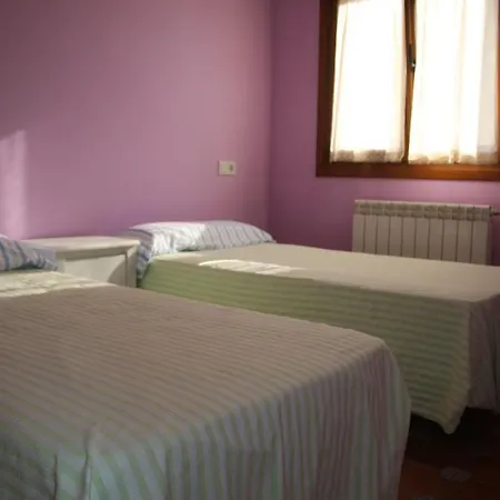 Palmeras San Miguel de Meruelo